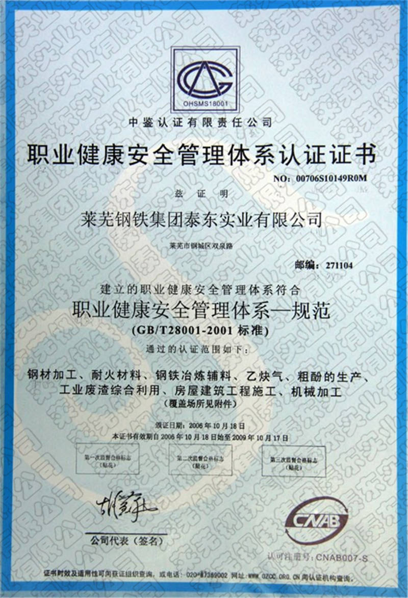 职业健康安全管理体系_副本.jpg
